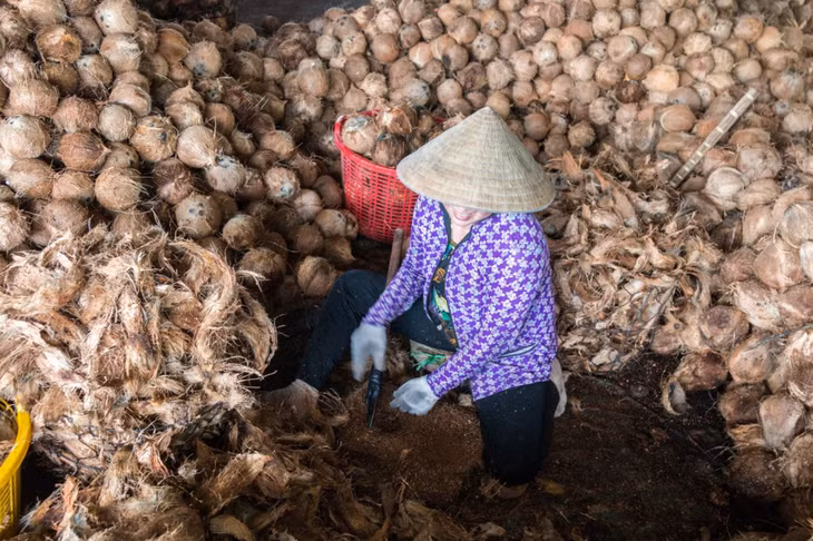 椰子产地传统工艺村之美 ảnh 5