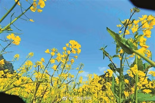 中国春节假期2.51亿人次出游 ảnh 6