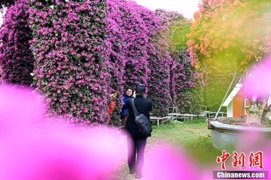 中国春节假期2.51亿人次出游 ảnh 1