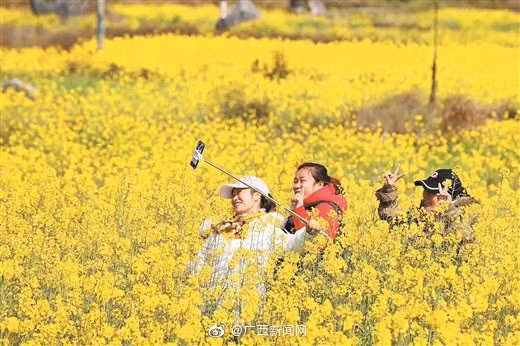 中国春节假期2.51亿人次出游 ảnh 5