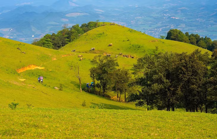 浦须山位于良山、玉凤两乡和常春镇。 Đỉnh Pù Xèo thuộc 2 xã Lương Sơn, Ngọc Phụng và thị trấn Thường Xuân.