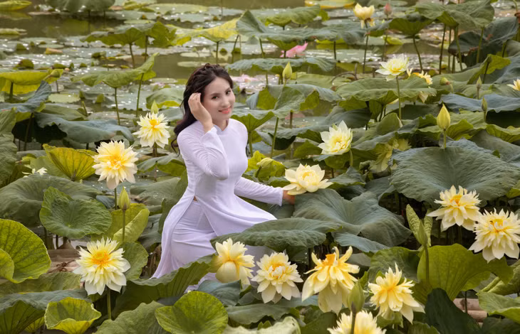莲花是越南民族传统奥黛的创作灵感。 Hoa sen là cảm hứng sáng tạo các tà áo dài truyền thống của dân tộc.