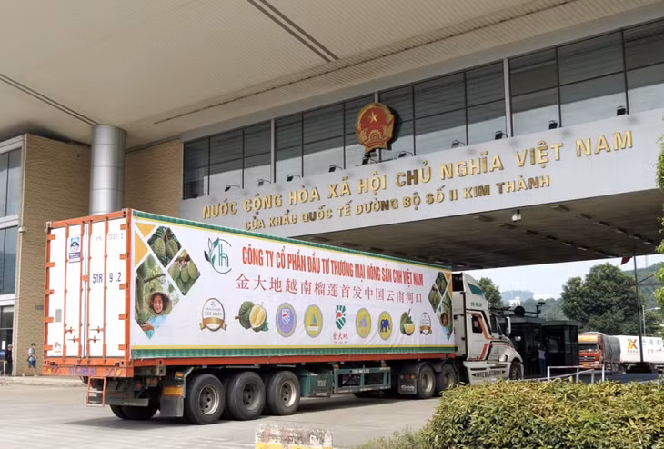 货车搭载着越南农产品通过老街金城二号国际公路口岸出口至中国。 Xe chở nông sản Việt Nam xuất khẩu sang Trung Quốc qua Cửa khẩu quốc tế đường bộ số II Kim Thành, Lào Cai.