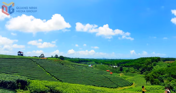 塘花乡：探索体验式旅游新路径 ảnh 3