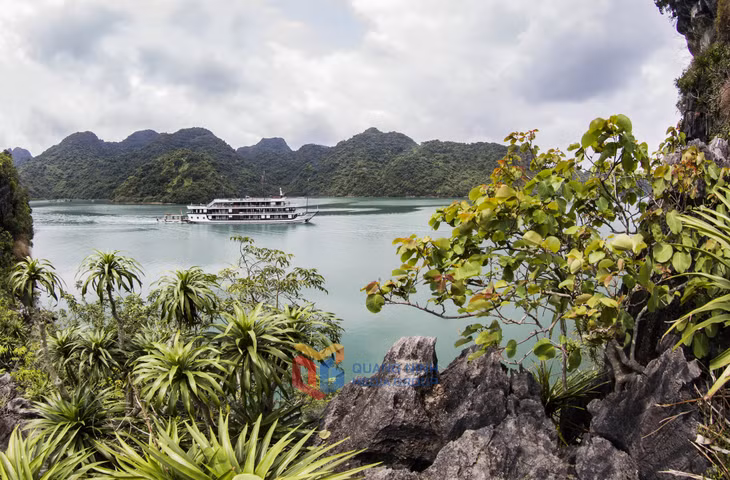 过夜游轮经常安排让游客停下探索这一海湾区域的独特美景。
