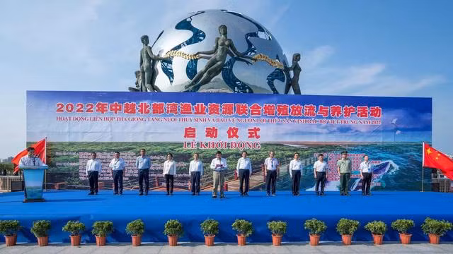 中越双方共同向北部湾放流苗种近6400万尾 ảnh 1
