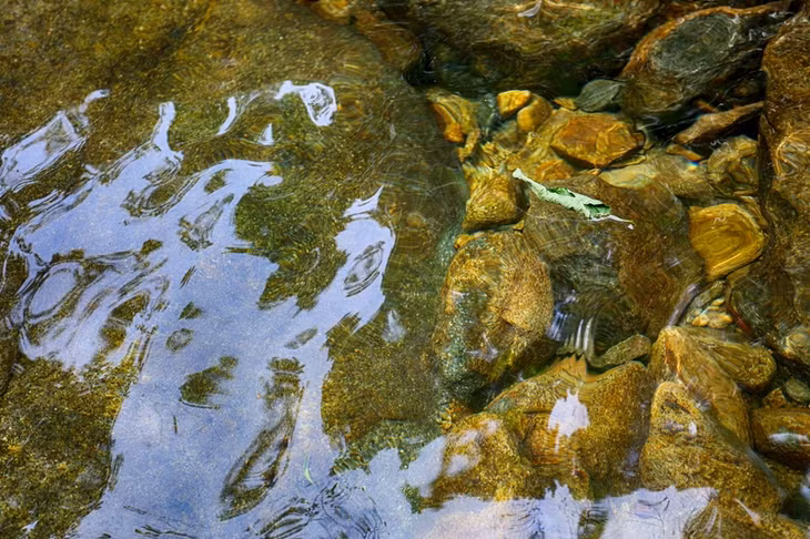 水流蜿蜒流淌。