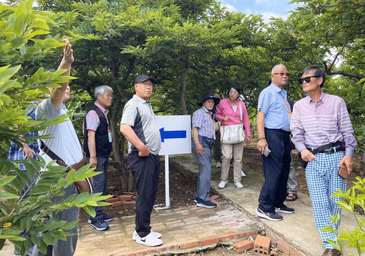 东潮市番荔枝果园吸引众多游客前来参观，特别是韩国游客。
