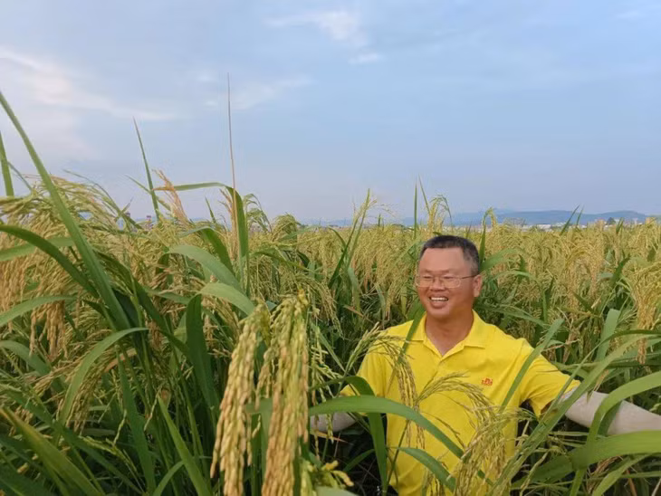 越南跨境游车队从中国河口口岸入境 ảnh 3