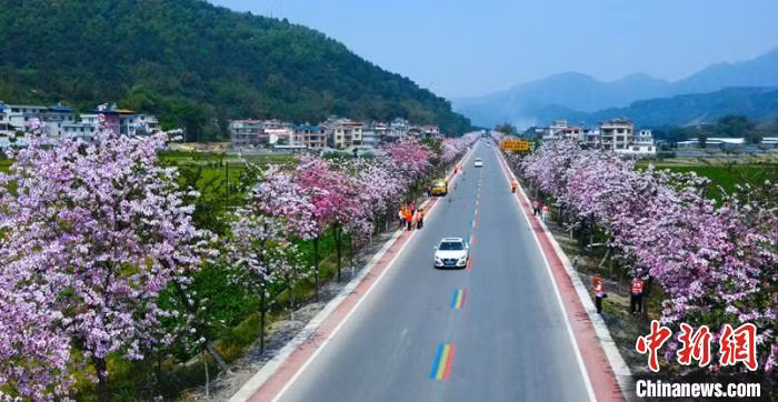 图为国道209线旁下陶村公路两旁美景 李家树 摄 Trong hình là phong cảnh đẹp hai bên đường thôn Hạ Đào thuộc tuyến quốc lộ 209, Lý Gia Thụ chụp