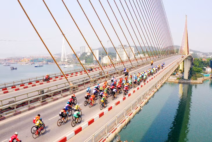 回望胡志明市电视杯全国自行车赛在下龙市的美好瞬间 ảnh 6