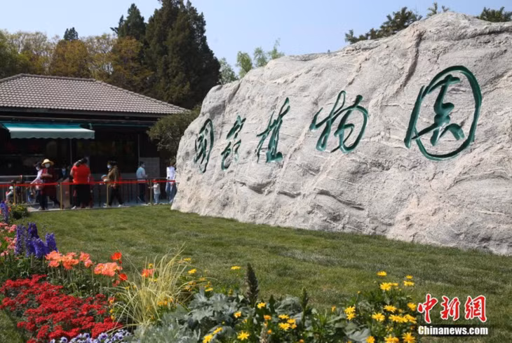 中国国家植物园正式揭牌 ảnh 1