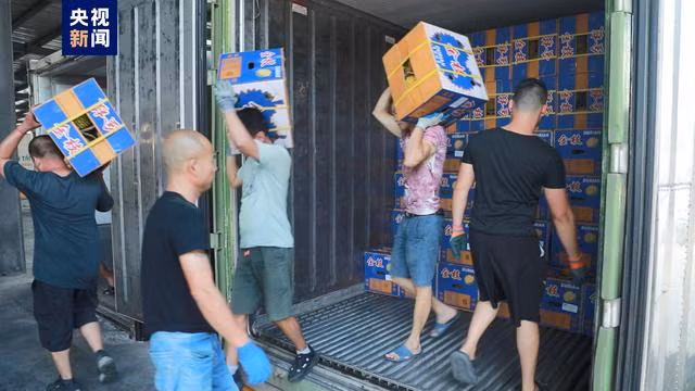 广西凭祥铁路口岸一大波东南亚水果“抢鲜”入境 ảnh 2