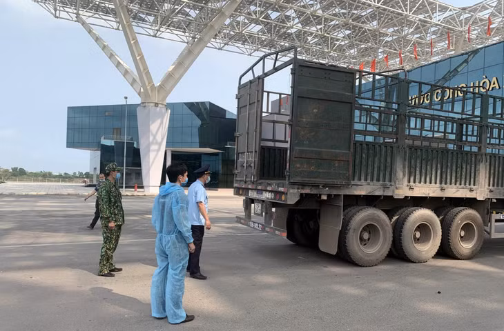 芒街市确保货物顺利通关。