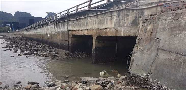 陈国巘沿海道路从诗篇桥至下龙-锦铺沿海道路交叉处路段的14个闸门之一。