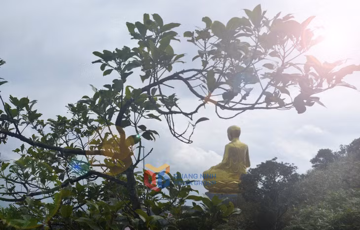 越南最大的陈仁宗佛皇铜像隐隐约约浮现于薄雾之中。