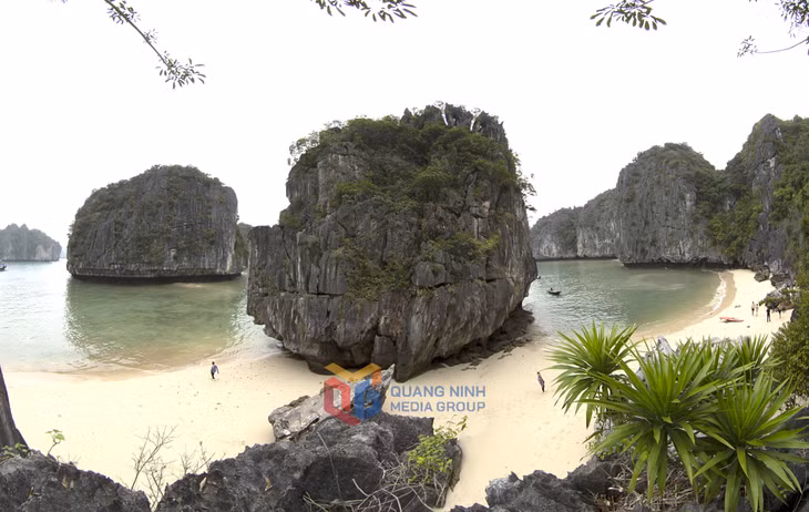 光滑的白色沙滩随温柔的海浪蜿蜒而上，吸引着旅人的脚步。