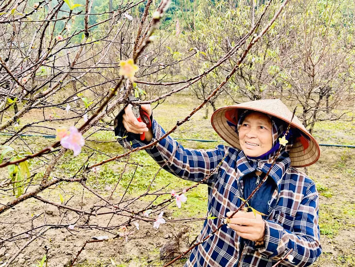 传统春节花市热闹迎新春 ảnh 12