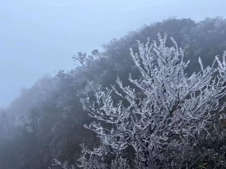 广西下雪啦！ ảnh 1