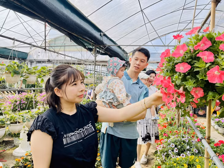周末，很多人去参观花园、购买花卉和观赏植物。