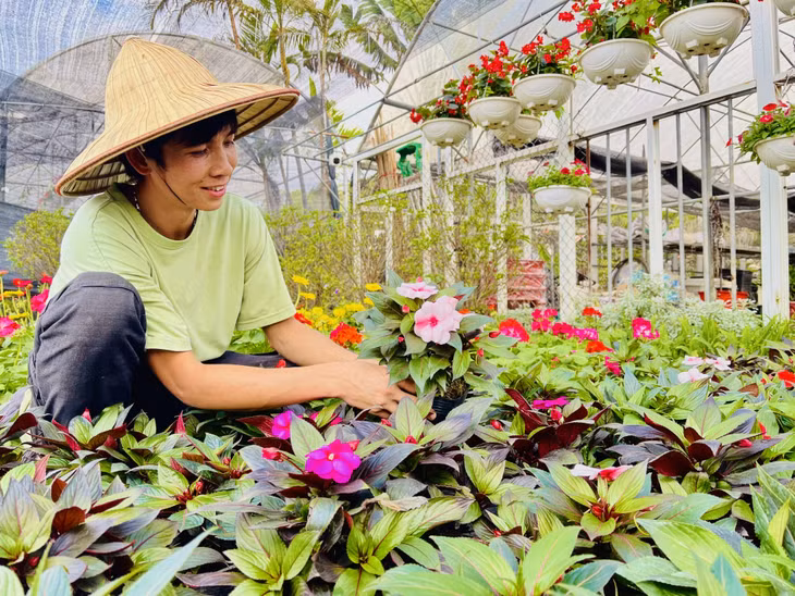 诸多花农透露，今年花卉质量优质、价格合适。