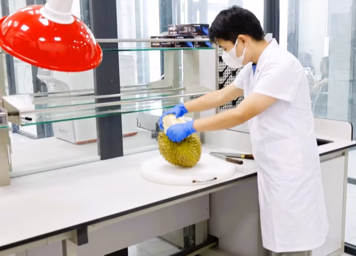 实验室位于广宁省芒街1坊北仑二号桥口岸区域，按照国际标准运行。