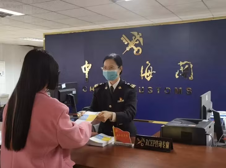 RCEP上半年“成绩单”出炉 享惠红利持续释放 ảnh 1