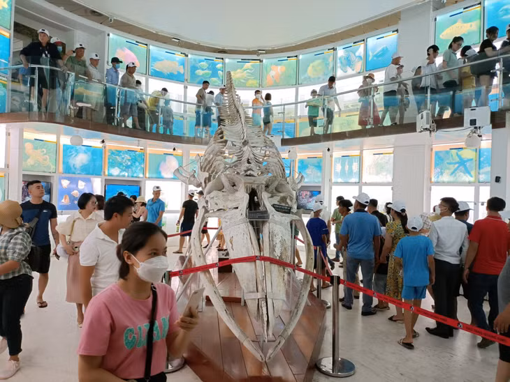 广宁博物馆接待众多游客前来参观。