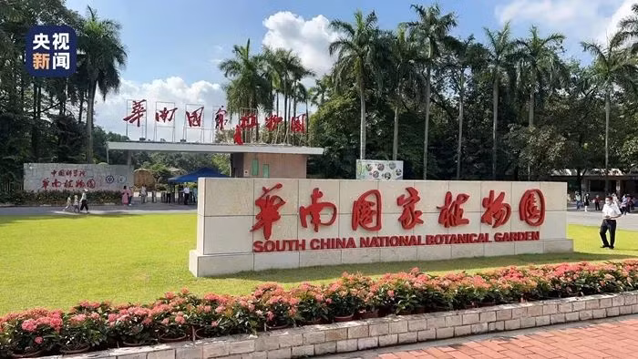 中国复眼在重庆开建！可实现千万公里外小行星探测成像 ảnh 2