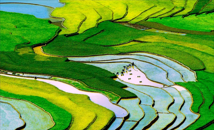 安沛省林芒（Lìm Mông）山谷梯田全景