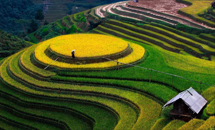 越南北中南三地风景优美的森林和湖泊 ảnh 16