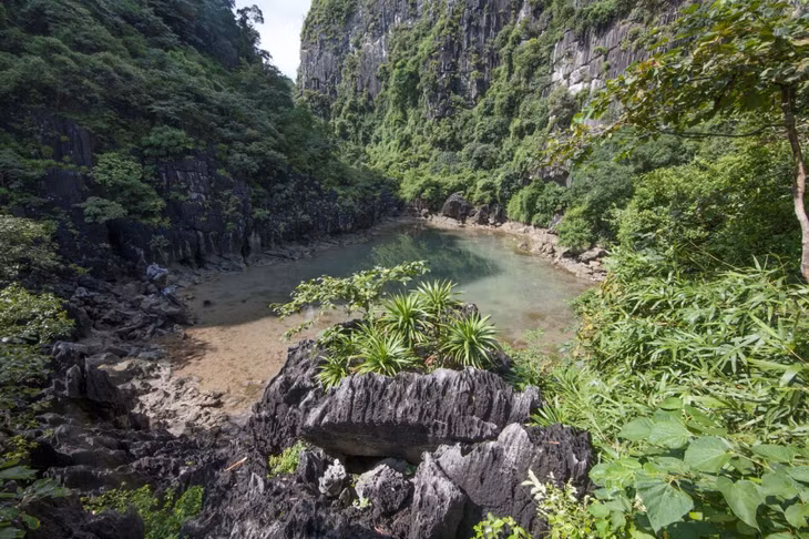 仙洞湖是下龙湾特有动植物的栖息地。