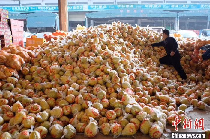 春节将近，中国各地年味浓 ảnh 1