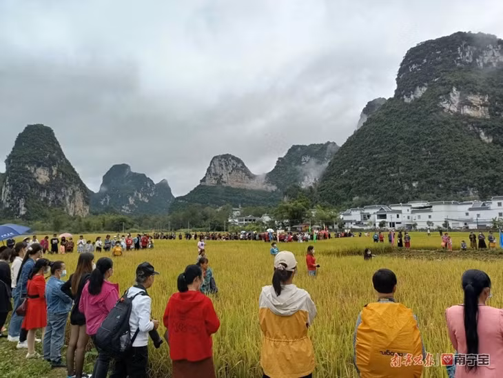 广西深化与越南贸易投资 促RCEP框架下经贸合作 ảnh 7