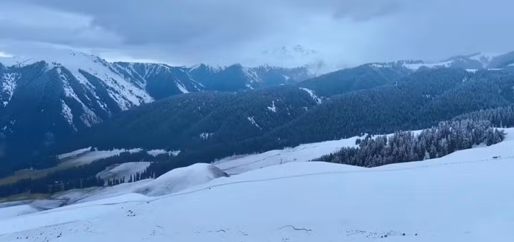 新疆秋雪的氛围感像童话世界一般 ảnh 3