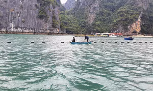 广宁在水产养殖中推广使用HDPE塑料浮
