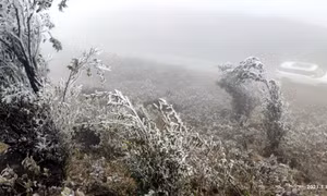 平辽县出现结霜冰挂现象