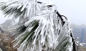 游客纷至沓来广宁观赏冰雪