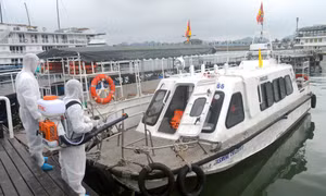 广宁下龙湾游船恢复运营