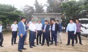 广宁省领导莅临广安市的两个工业园区检查指导工作