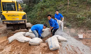 广宁团员青年积极发挥先锋模范作用