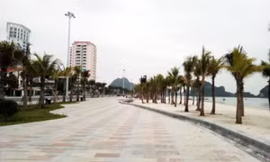 鸿基海滩即将投入使用