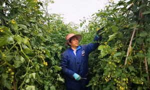 "梦里壮乡"立新颜