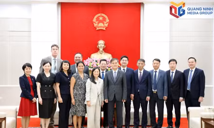 广宁市人民委员会主席礼节性会见美国驻越南特命全权大使