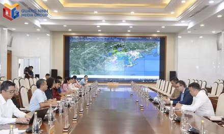 广宁市推进与俄罗斯直接投资基金的投资合作 