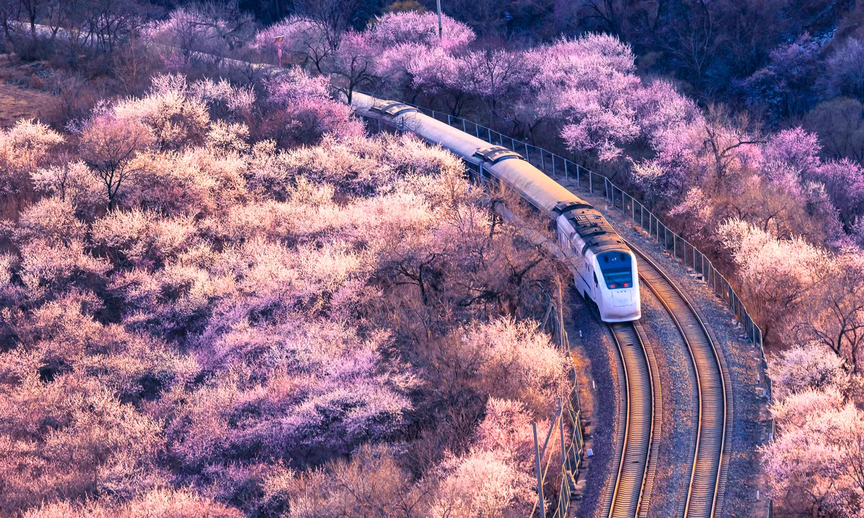 春天里的列车