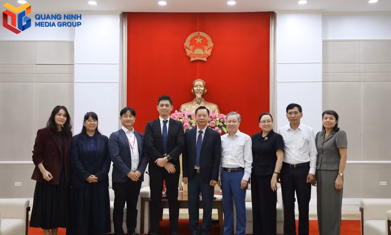 下龙永旺梦乐城进度已达99%，即将在广宁市投入运营