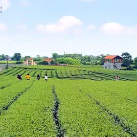 塘花乡：探索体验式旅游新路径