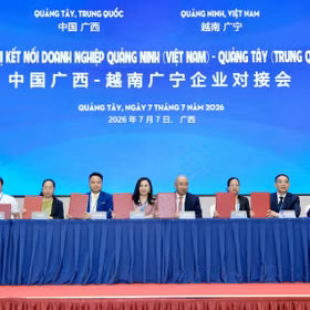 越南广宁—中国广西企业对接交流，拓展投资合作